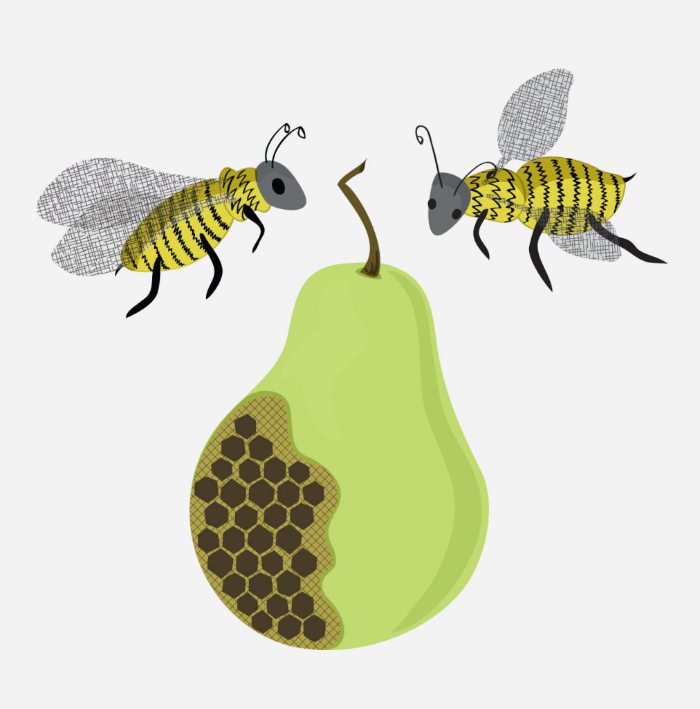 Feathered Friends bees illustration