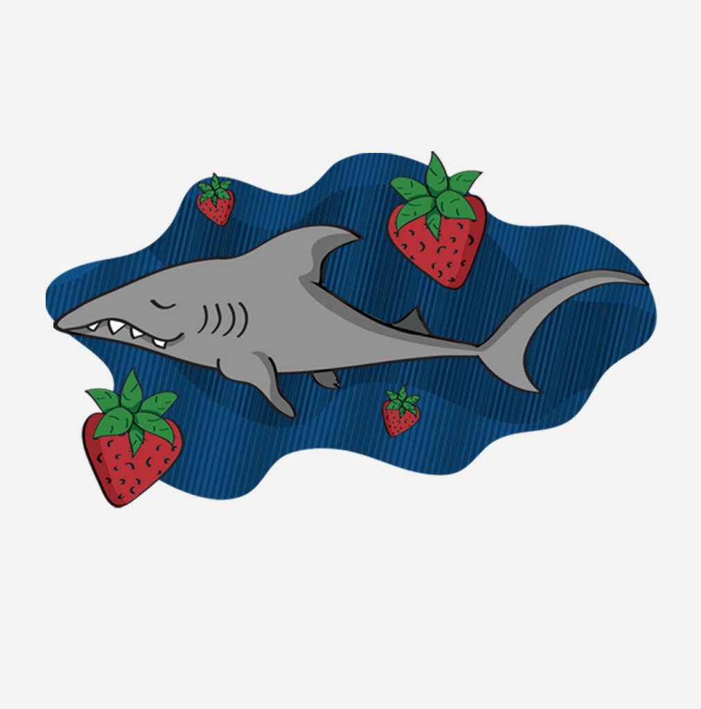 Feathered Friends shark illustration
