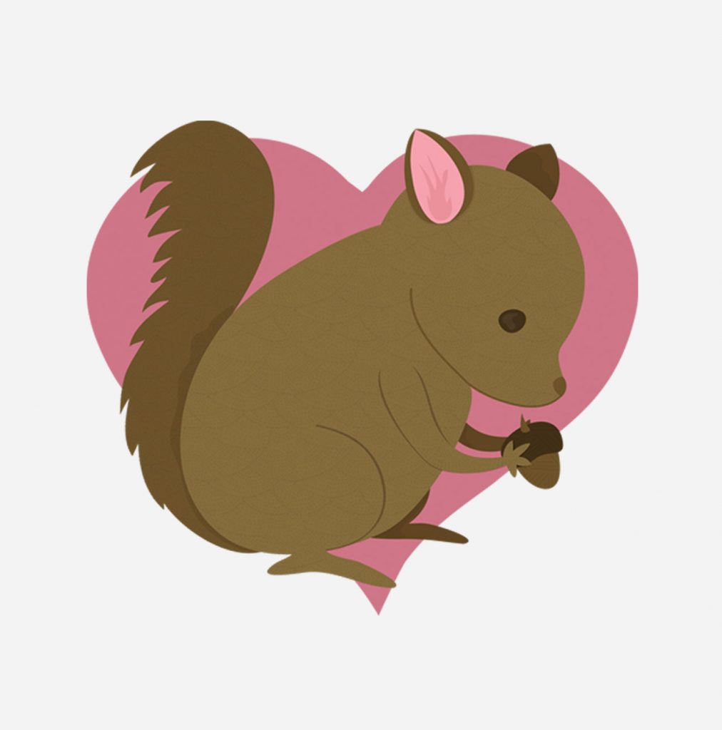 Feathered Friends squirrel illustration